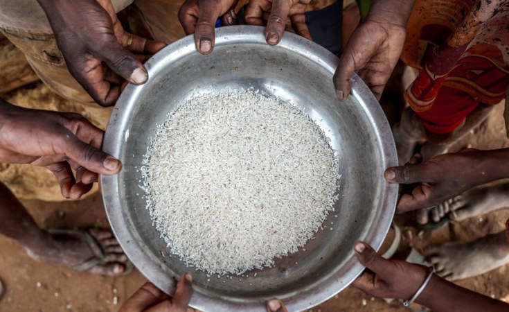 Averting Nigeria’s Imminent Food Crisis